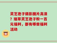 灵芝孢子摄影图片高清？瑞草灵芝孢子粉一百元福利，都有哪些福利活动