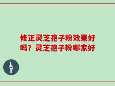 修正灵芝孢子粉效果好吗？灵芝孢子粉哪家好