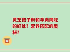 灵芝孢子粉和羊肉同吃的好处？营养搭配的奥秘？