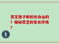 灵芝孢子粉的长白山的？探秘灵芝的生长环境？