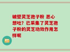 破壁灵芝孢子粉 恶心想吐？已采集了灵芝孢子粉的灵芝功效作用怎样呢