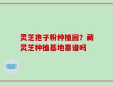 灵芝孢子粉种植园？藏灵芝种植基地靠谱吗