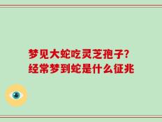 梦见大蛇吃灵芝孢子？经常梦到蛇是什么征兆