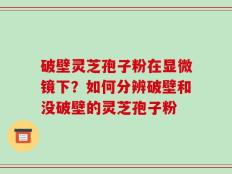 破壁灵芝孢子粉在显微镜下？如何分辨破壁和没破壁的灵芝孢子粉