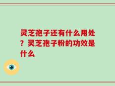 灵芝孢子还有什么用处？灵芝孢子粉的功效是什么