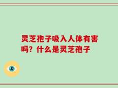 灵芝孢子吸入人体有害吗？什么是灵芝孢子