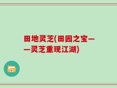 田地灵芝(田园之宝——灵芝重现江湖)