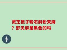 灵芝孢子粉石斛粉天麻？野天麻是黑色的吗