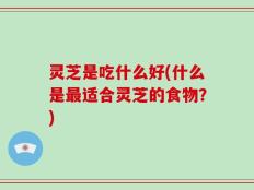灵芝是吃什么好(什么是最适合灵芝的食物？)
