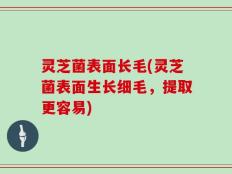 灵芝菌表面长毛(灵芝菌表面生长细毛，提取更容易)