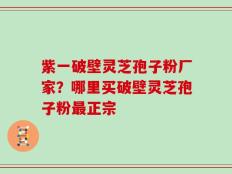 紫一破壁灵芝孢子粉厂家？哪里买破壁灵芝孢子粉最正宗