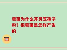 霉菌为什么开灵芝孢子粉？根霉菌是怎样产生的