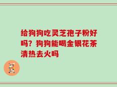 给狗狗吃灵芝孢子粉好吗？狗狗能喝金银花茶清热去火吗