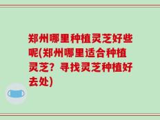 郑州哪里种植灵芝好些呢(郑州哪里适合种植灵芝？寻找灵芝种植好去处)