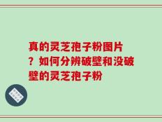真的灵芝孢子粉图片 ？如何分辨破壁和没破壁的灵芝孢子粉