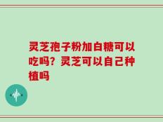 灵芝孢子粉加白糖可以吃吗？灵芝可以自己种植吗