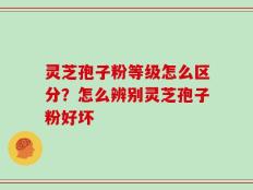 灵芝孢子粉等级怎么区分？怎么辨别灵芝孢子粉好坏
