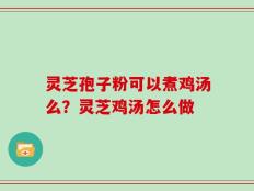 灵芝孢子粉可以煮鸡汤么？灵芝鸡汤怎么做
