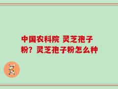 中国农科院 灵芝孢子粉？灵芝孢子粉怎么种