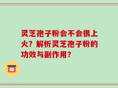 灵芝孢子粉会不会很上火？解析灵芝孢子粉的功效与副作用？