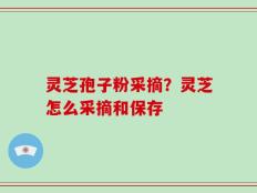 灵芝孢子粉采摘？灵芝怎么采摘和保存