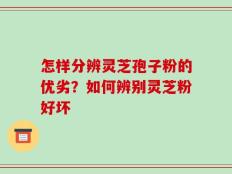 怎样分辨灵芝孢子粉的优劣？如何辨别灵芝粉好坏