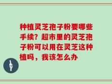 种植灵芝孢子粉要哪些手续？超市里的灵芝孢子粉可以用在灵芝这种植吗，我该怎么办