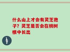 什么山上才会有灵芝孢子？灵芝是否会在桃树根中长出