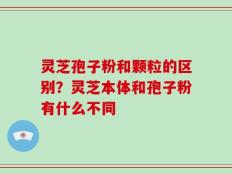 灵芝孢子粉和颗粒的区别？灵芝本体和孢子粉有什么不同