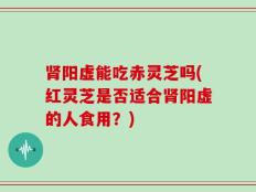 肾阳虚能吃赤灵芝吗(红灵芝是否适合肾阳虚的人食用？)