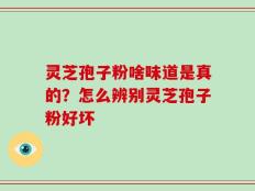 灵芝孢子粉啥味道是真的？怎么辨别灵芝孢子粉好坏