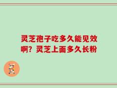 灵芝孢子吃多久能见效啊？灵芝上面多久长粉