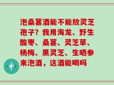 泡桑葚酒能不能放灵芝孢子？我用海龙、野生酸枣、桑葚、灵芝草、杨梅、黑灵芝、生晒参来泡酒，这酒能喝吗