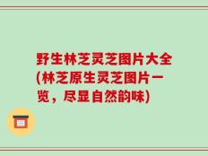 野生林芝灵芝图片大全(林芝原生灵芝图片一览，尽显自然韵味)
