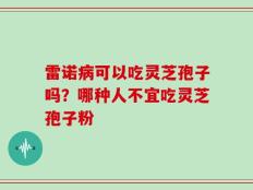 雷诺病可以吃灵芝孢子吗？哪种人不宜吃灵芝孢子粉