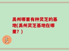 禹州哪里有种灵芝的基地(禹州灵芝基地在哪里？)