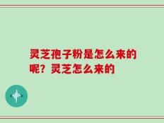 灵芝孢子粉是怎么来的呢？灵芝怎么来的