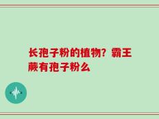长孢子粉的植物？霸王蕨有孢子粉么