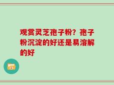观赏灵芝孢子粉？孢子粉沉淀的好还是易溶解的好