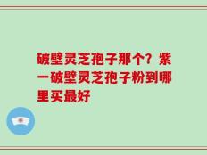 破壁灵芝孢子那个？紫一破壁灵芝孢子粉到哪里买最好