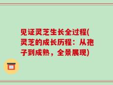 见证灵芝生长全过程(灵芝的成长历程：从孢子到成熟，全景展现)