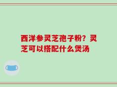 西洋参灵芝孢子粉？灵芝可以搭配什么煲汤