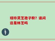 琼珍灵芝孢子粉？请问这是林芝吗