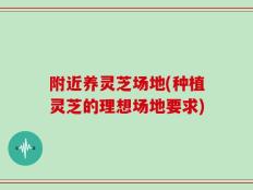 附近养灵芝场地(种植灵芝的理想场地要求)
