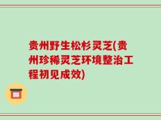 贵州野生松杉灵芝(贵州珍稀灵芝环境整治工程初见成效)
