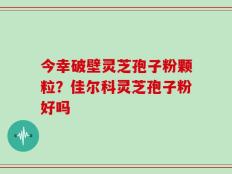 今幸破壁灵芝孢子粉颗粒？佳尔科灵芝孢子粉好吗
