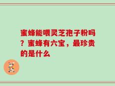 蜜蜂能喂灵芝孢子粉吗？蜜蜂有六宝，最珍贵的是什么