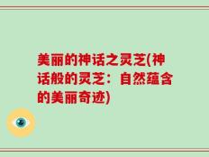 美丽的神话之灵芝(神话般的灵芝：自然蕴含的美丽奇迹)