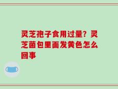 灵芝孢子食用过量？灵芝菌包里面发黄色怎么回事