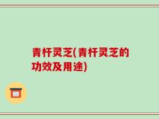 青杆灵芝(青杆灵芝的功效及用途)